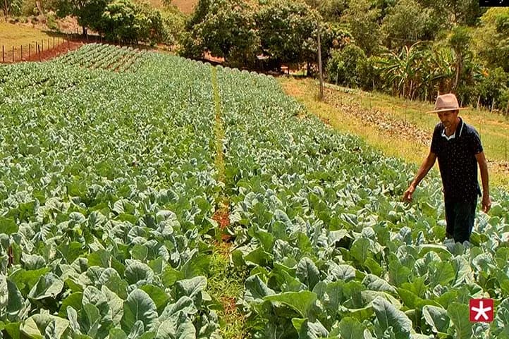 cultivos agricultura familiar