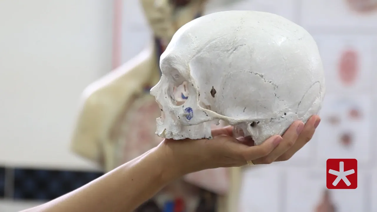 Acidentes podem causar traumatismo cranioencefálico