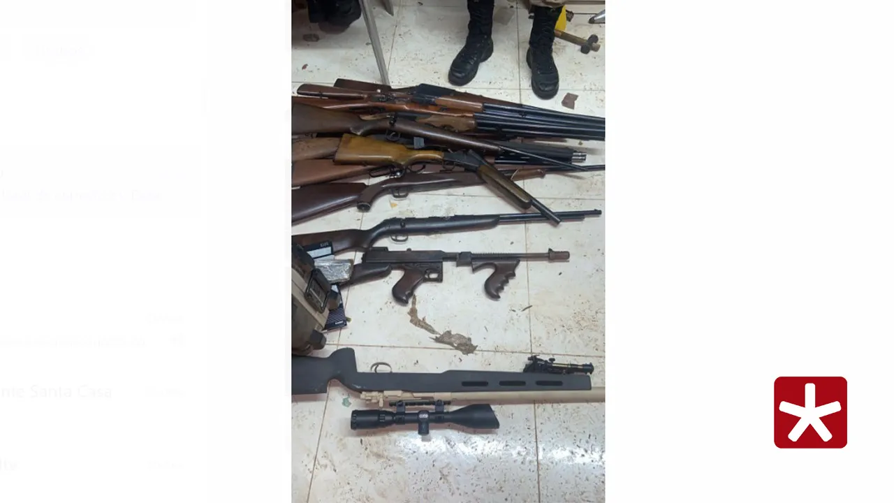 Armas apreendidas