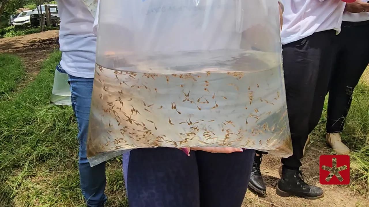 Ação ocorreu no distrito de Areado, besta sexta-feira (28) 