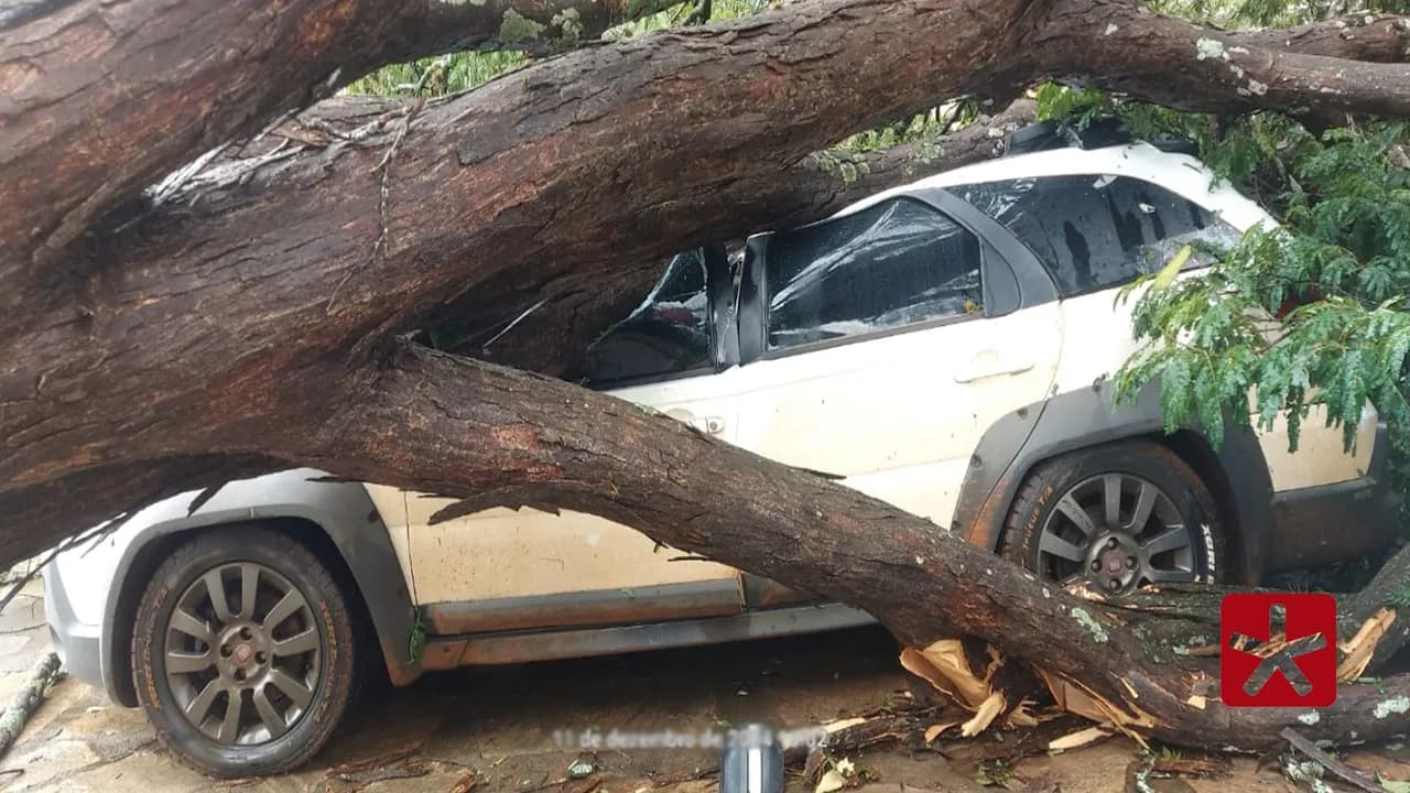 Chuva forte derruba árvores e danifica estruturas em Rio Paranaíba