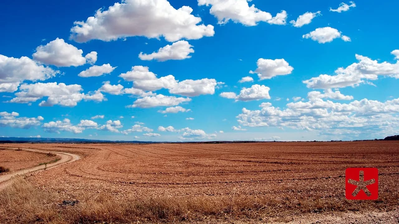 Dados indicam 0,79 °C mais quente em comparação a 2023 