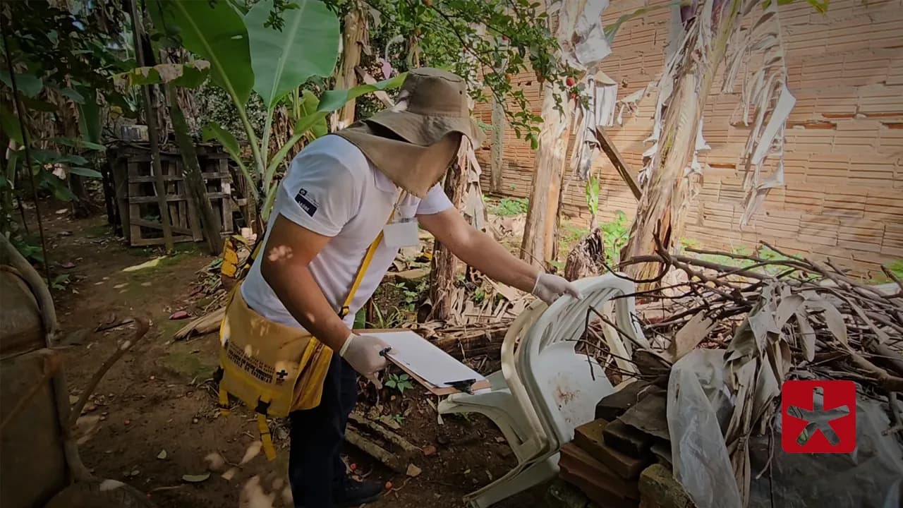 Programa monitora presença de mosquito transmissor em residências 