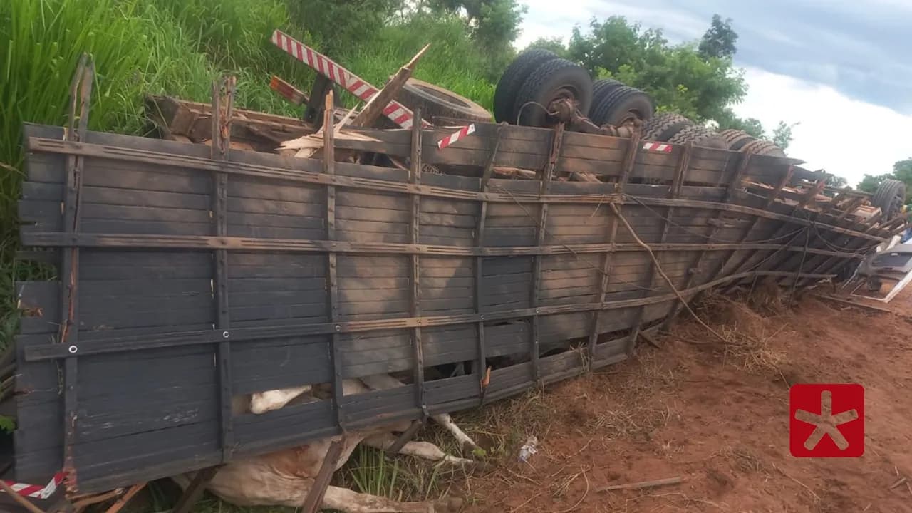 Motorista de caminhão boiadeiro morre em acidente na MG-410, em Lagoa Grande