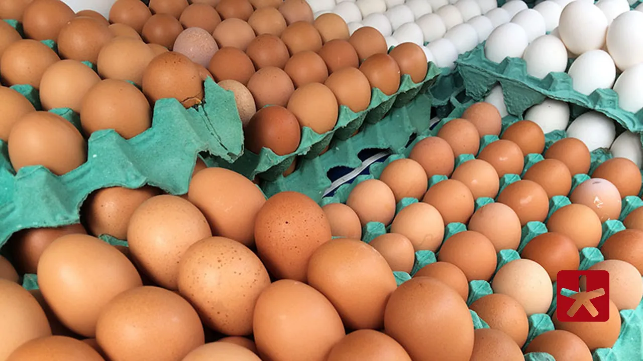 Produtores receberam prazo para se adequarem à portaria