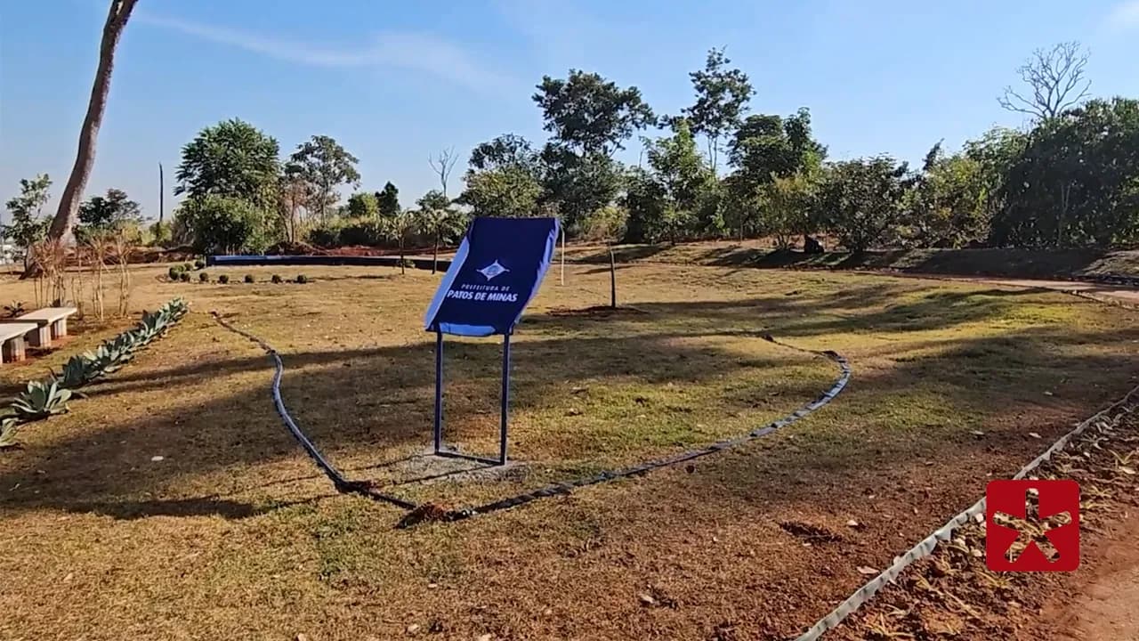 Cerca de 21 mil mudas serão doadas ao Parque Municipal João Batista Macarrão