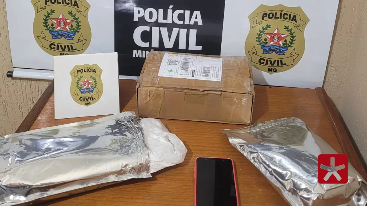 Foram apreendidos pacotes prateados e lacrados que continham pó branco