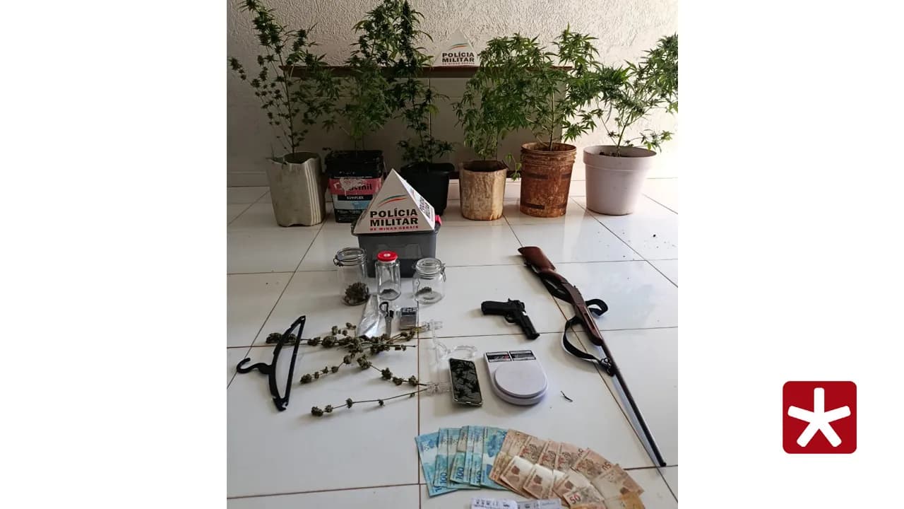 Pena para cultivo pessoal de maconha pode levar até 15 anos de reclusão