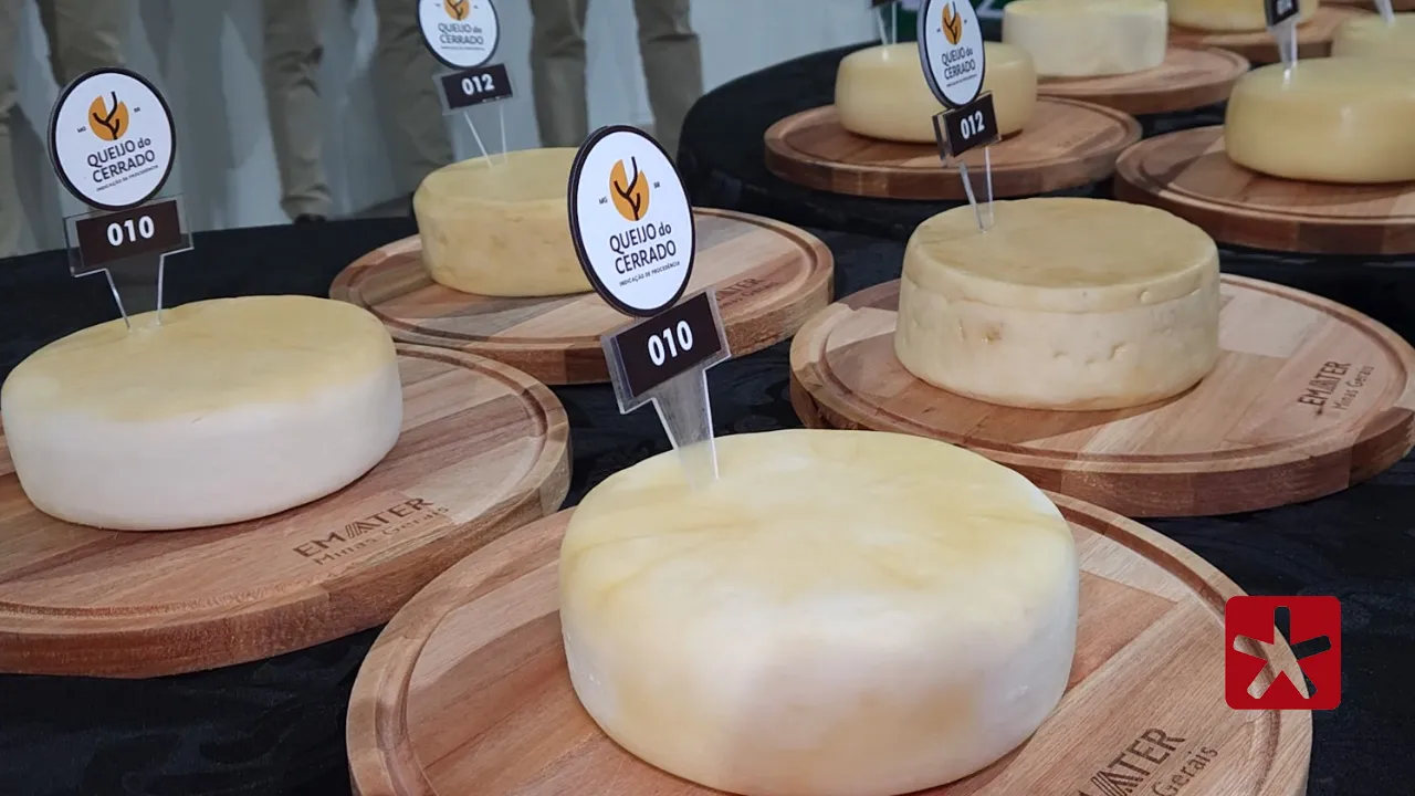 Queijo da Herança de Minas é o vencedor e vai representar região na etapa estadual 
