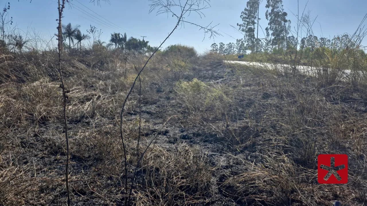 Autor foi flagrado com isqueiro iniciando focos de fogo