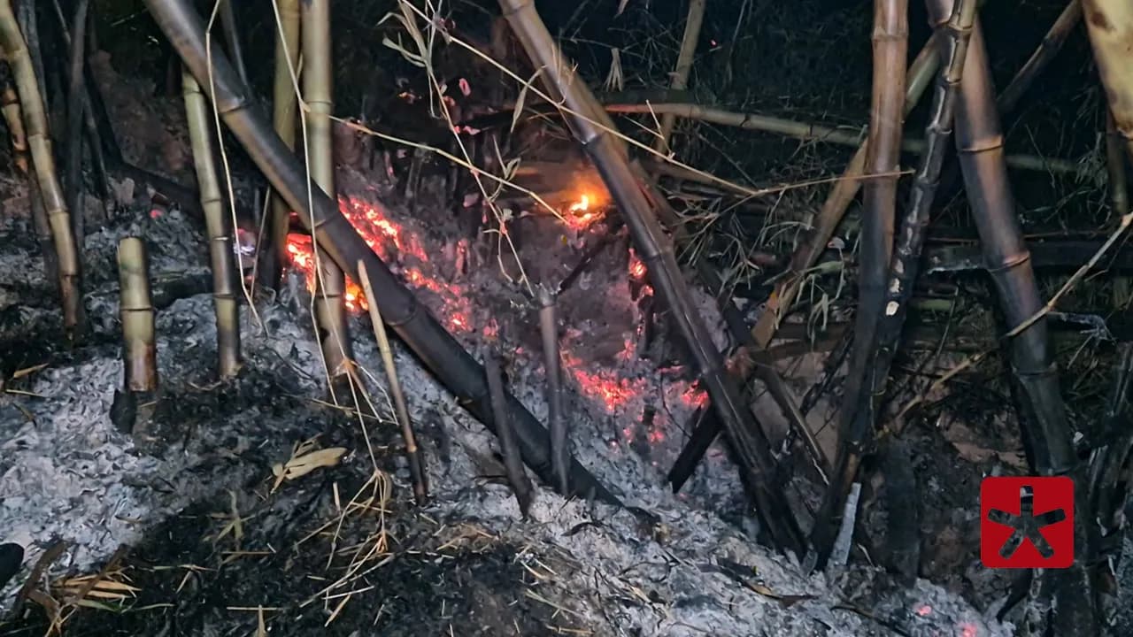 Chamas se espalharam nas proximidades do Parque Municipal do Mocambo 