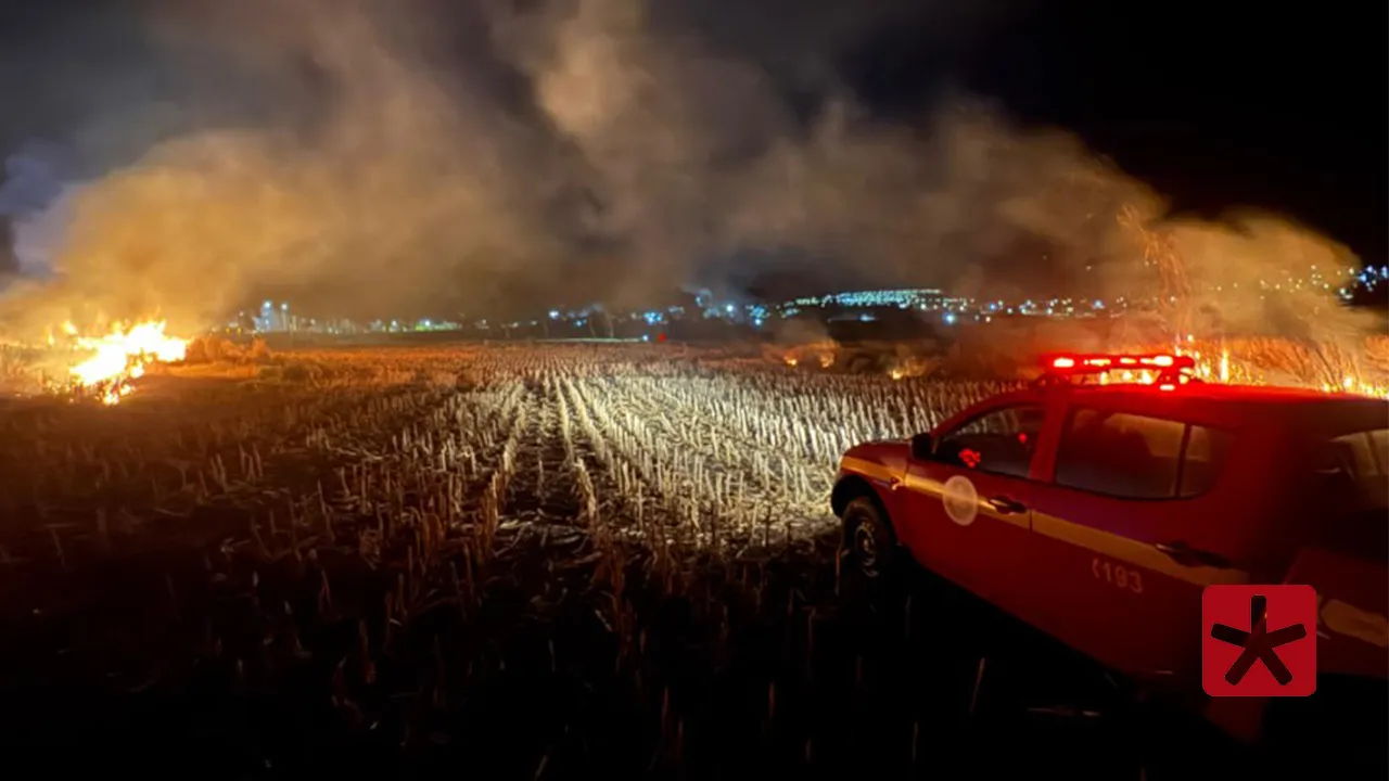 Incêndio põe em risco madeireira e posto de gasolina em Patos de Minas