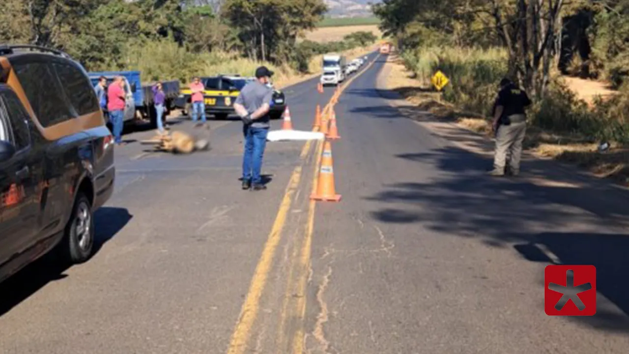 Homem de 31 anos morre em acidente entre motocicleta e caminhão na BR-365