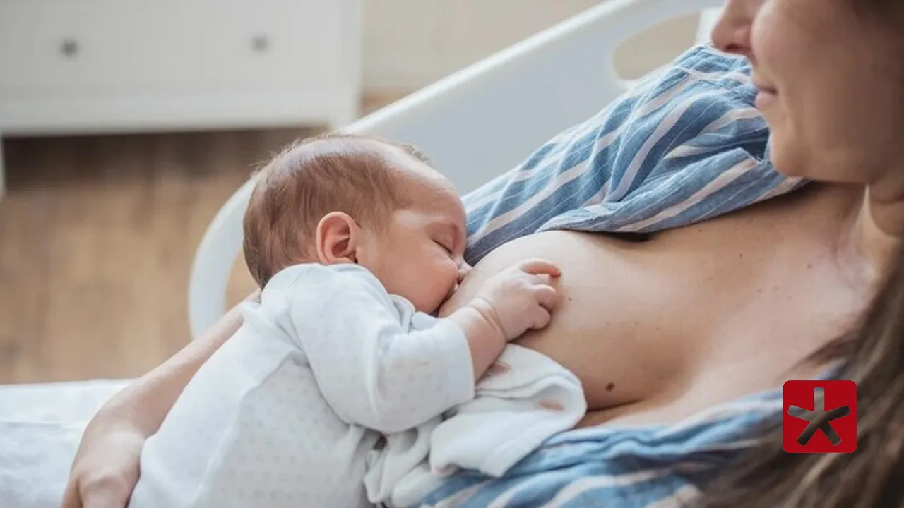 Leite materno é considerado padrão ouro de nutrição infantil e vínculo entre mãe e filho