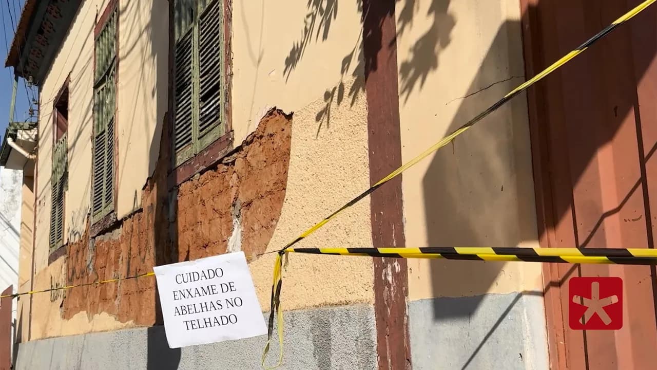 Bombeiros aplicaram produto para exterminar enxame no último domingo (17)