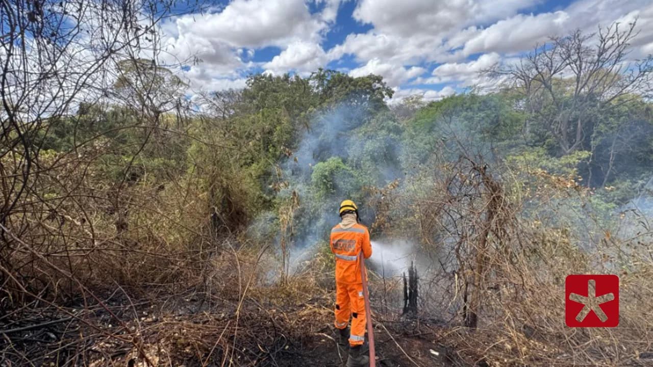 Bombeiros registram segundo incêndio em menos de sete dias no Parque Municipal do Mocambo