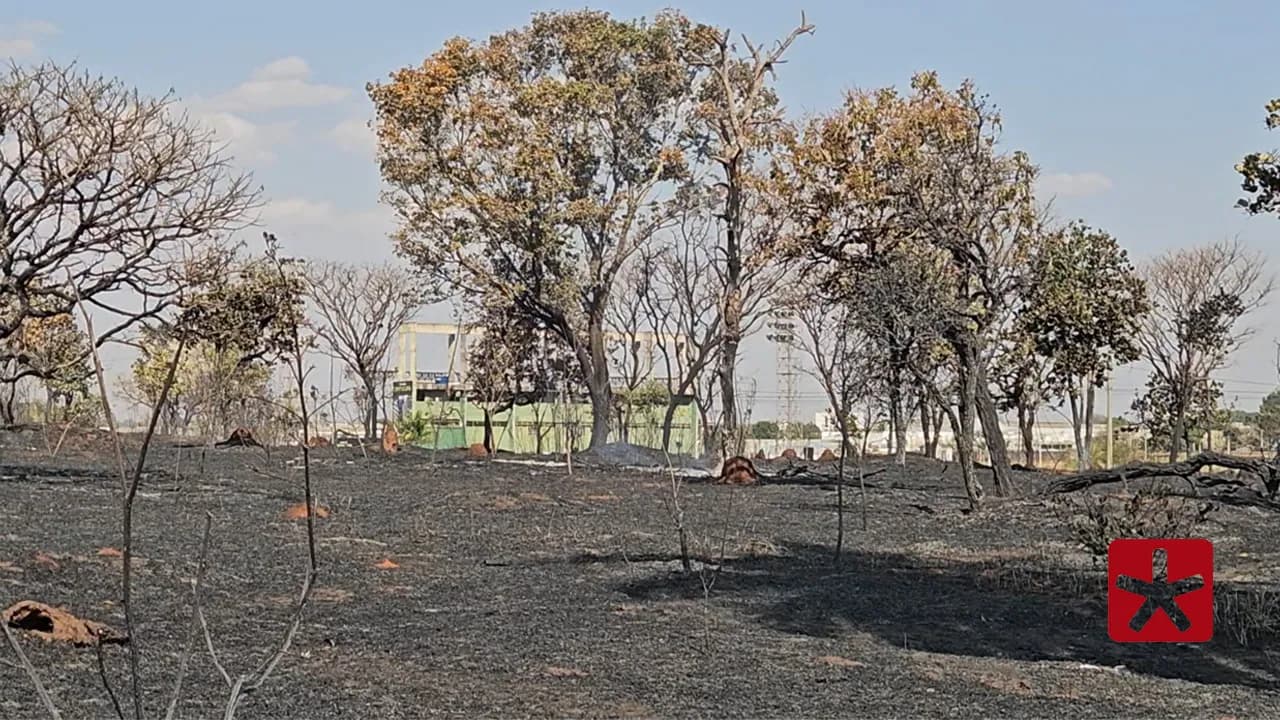 Foram queimados mais de seis hectares de vegetação em terreno particular