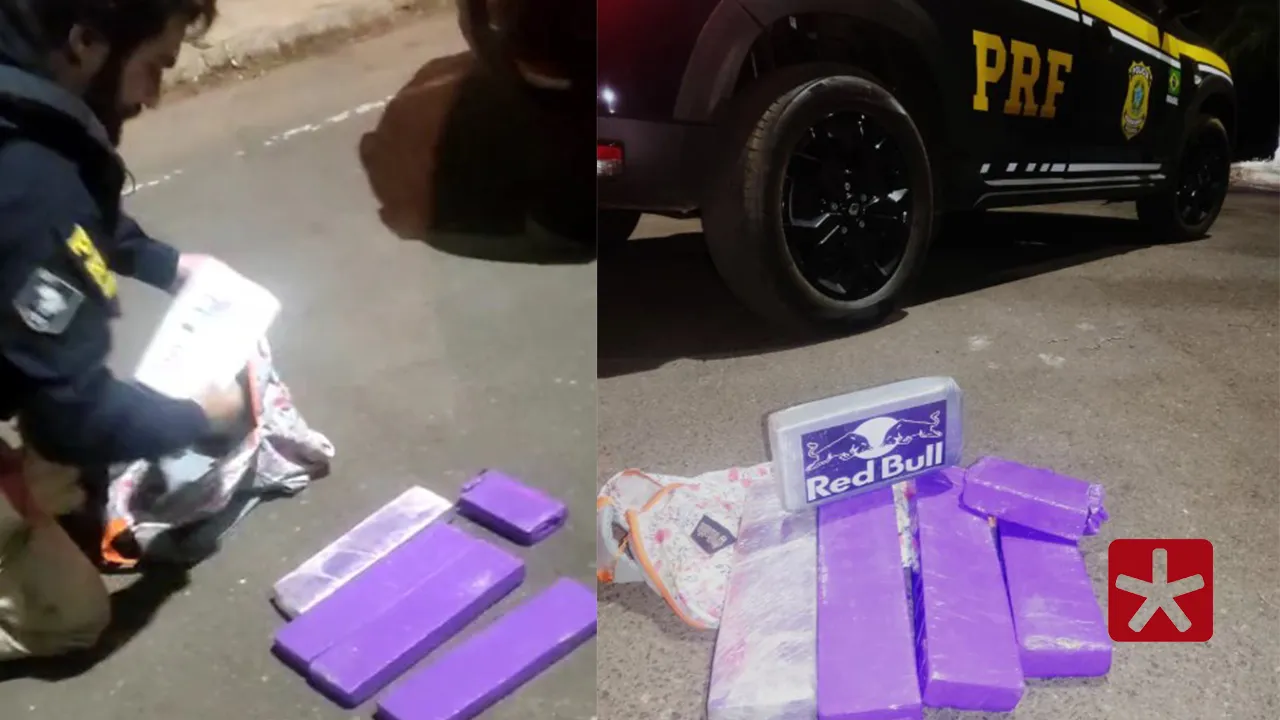Mulheres são presas com cocaína e maconha em ônibus
