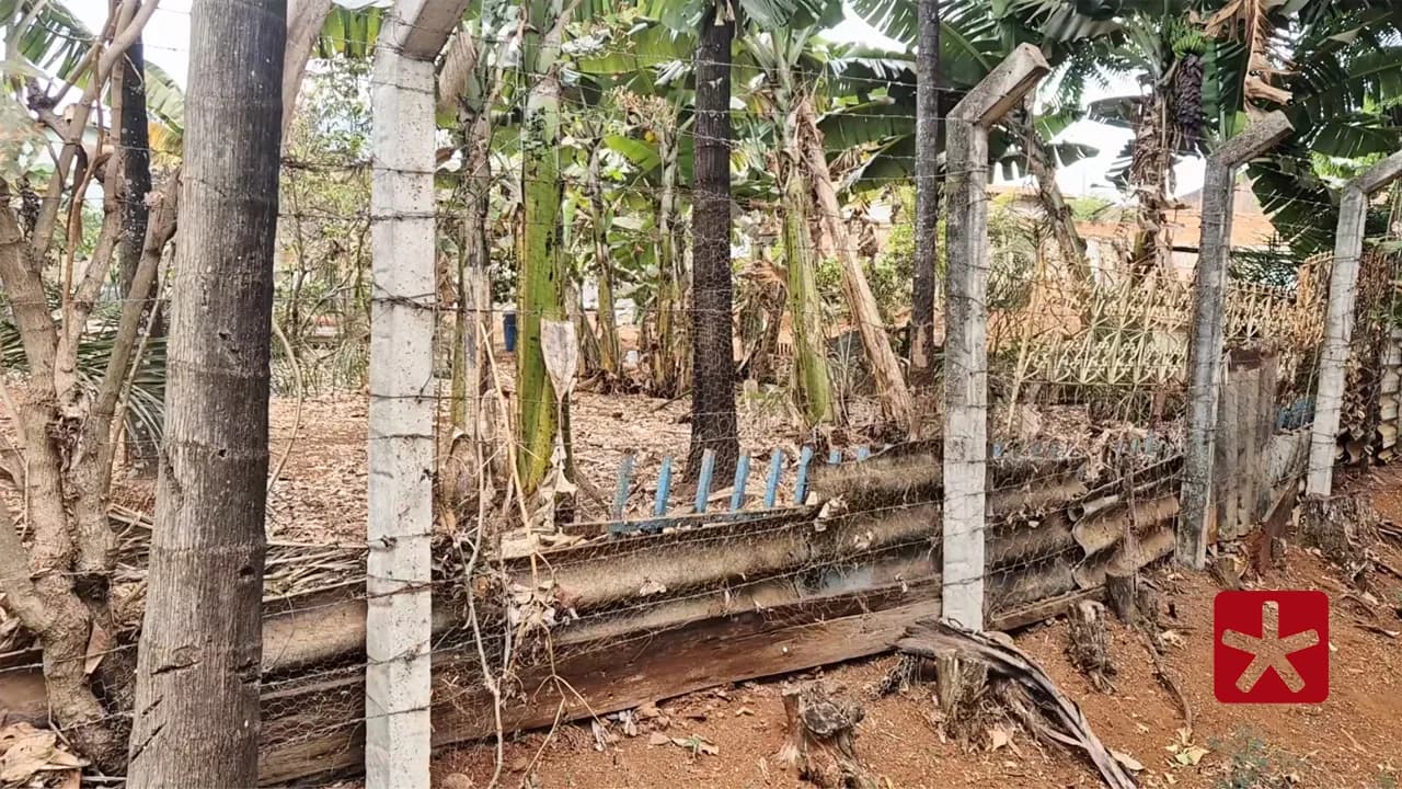 Morador vizinho estava alterando muro que avança sobre a área pertencente ao Mocambo 