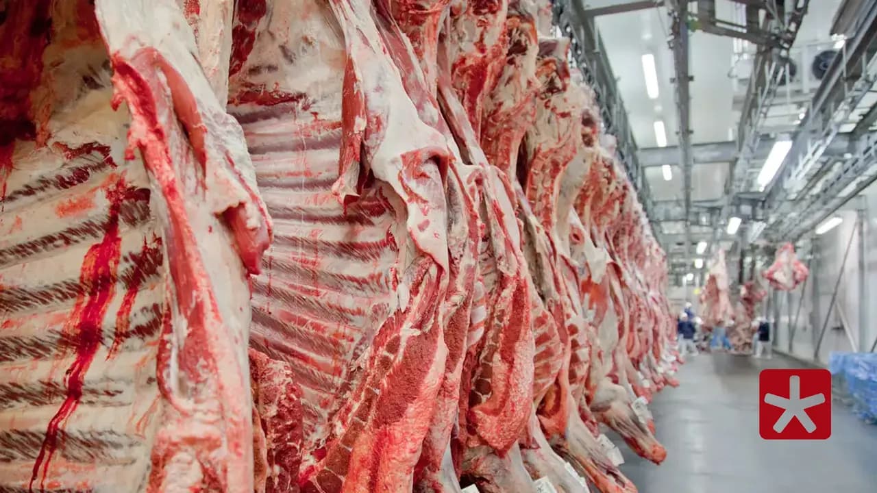 Brasil exportou 314,6 mil toneladas de carne bovina in natura, fresca e congelada 