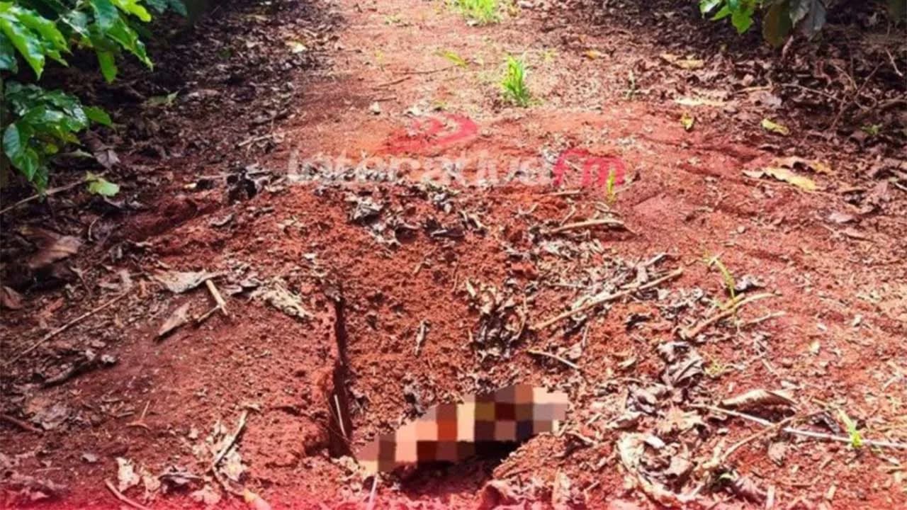 Corpo de homem é encontrado enterrado em plantação de café