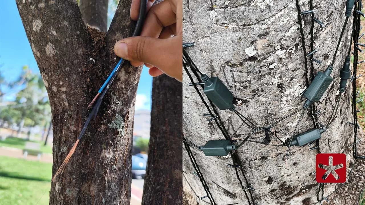 Três praças foram vandalizadas no domingo; organização reforça vigilância e pede apoio da população.