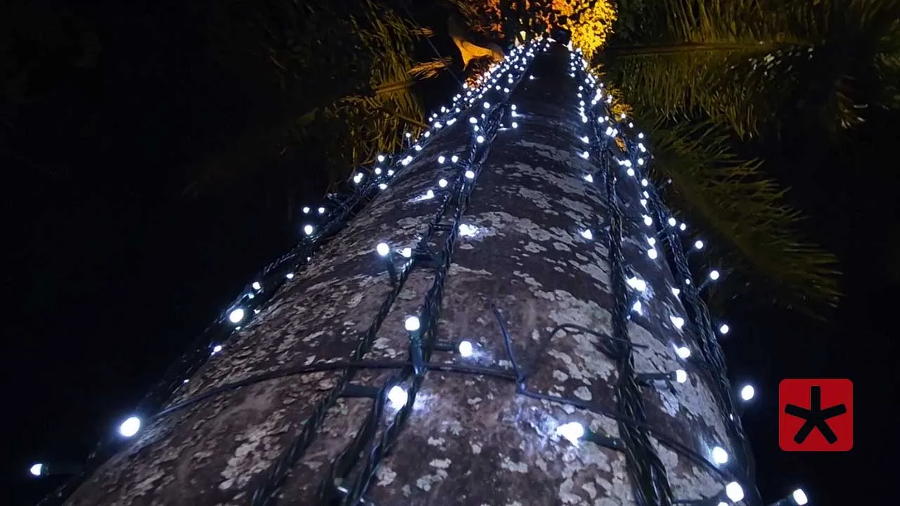 A partir das 18h, acontece o acendimento das luzes da Lagoa