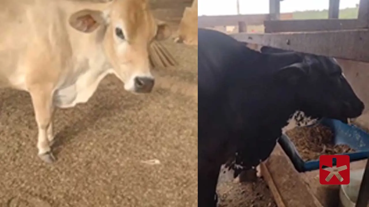 Crime ocorreu nas proximidades do bairro Jardim Itamaraty; Polícia Militar investiga e busca imagens que ajudem a identificar os autores