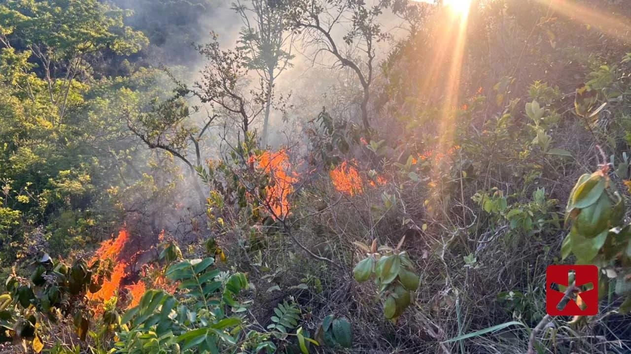 Incêndio florestal atinge cerca de cinco hectares de vegetação em área de difícil acesso
