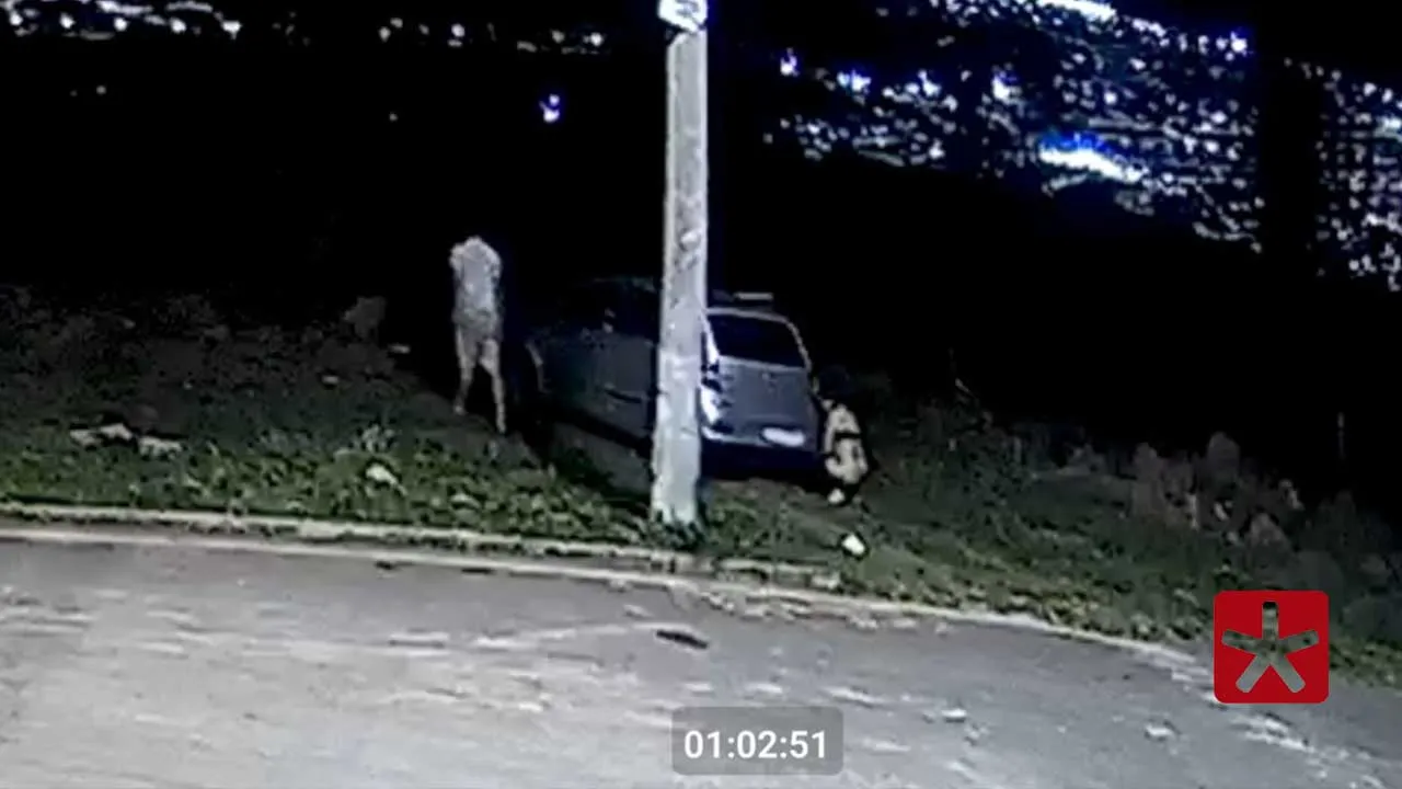 Moradores denunciam atos libidinosos em avenida no bairro Avenida Afonso Queiroz