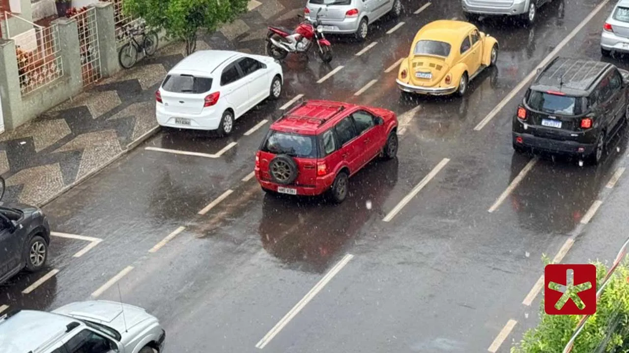 O órgão orienta que moradores evitem se abrigar sob árvores durante rajadas de vento