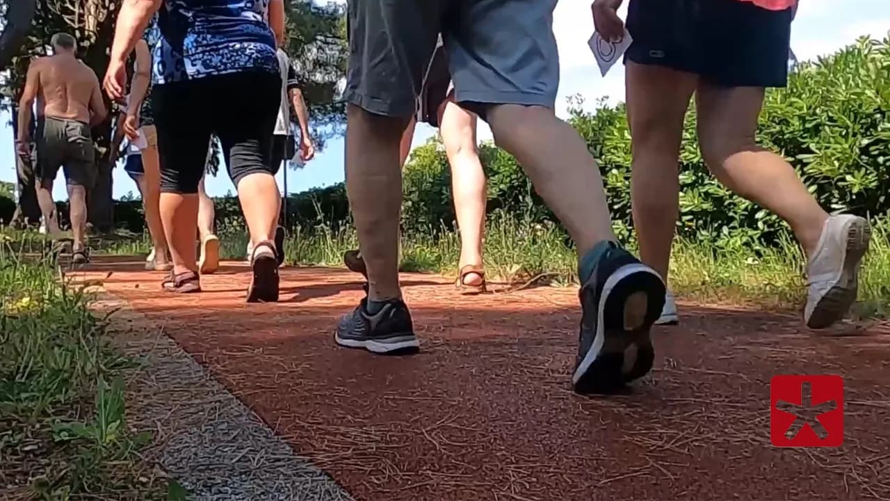 Expectativa de vida chega a 76,6 anos em 2024