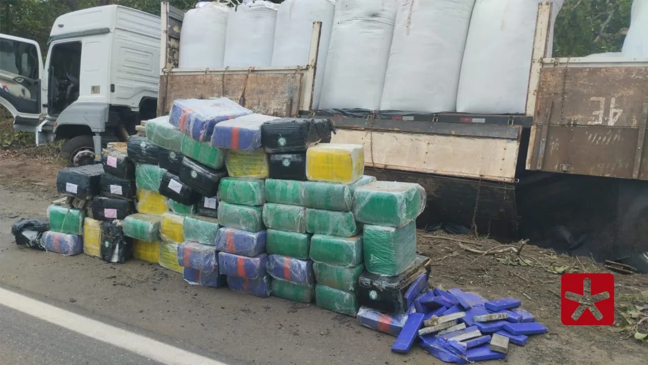 Droga estava escondida em meio a sacos de ração para peixe; motorista não foi encontrado