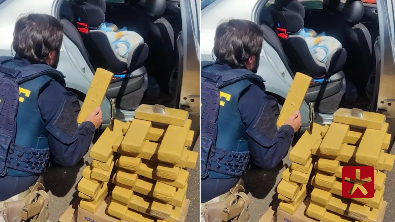 Conforme a PRF de Patos de Minas, as apreensões se concentram na BR-365 e BR-146