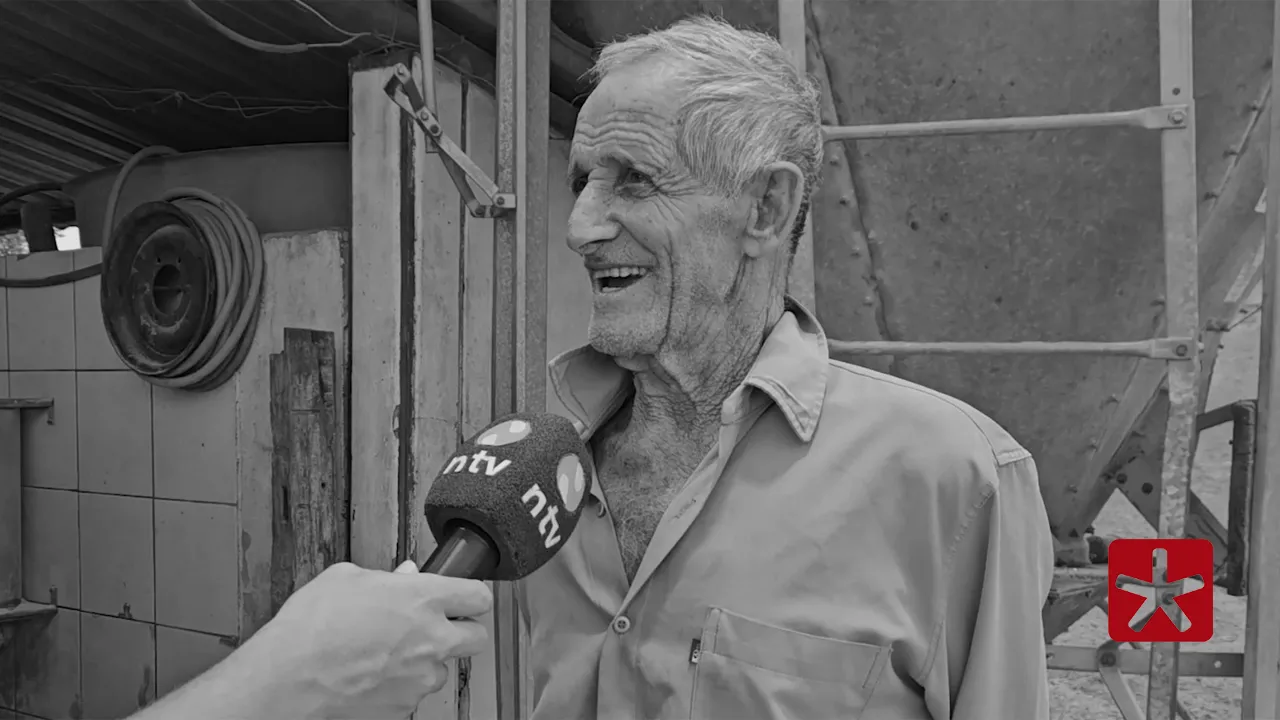 Suspeita-se de que Zazá estaria aplicando vacina em um bezerro quando foi surpreendido 