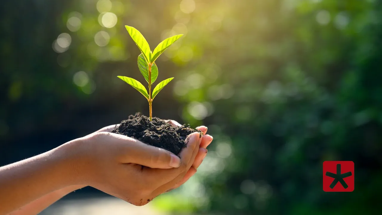 Cidades que fortalecerem práticas ambientais receberão fatia maior de imposto pelo Estado