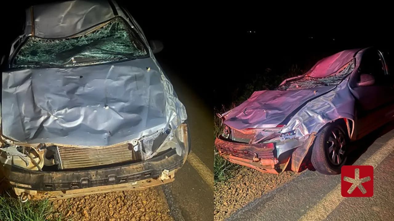 Mesmo acionando os freios, o motorista não conseguiu evitar a colisão