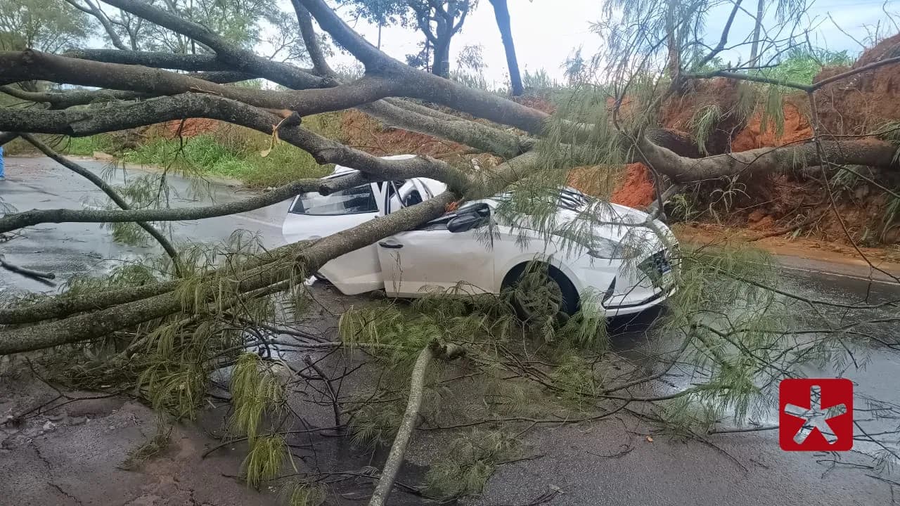 Acidente ocorreu durante chuva e ventania no km 108 da rodovia; esposa e filho do condutor não se feriram