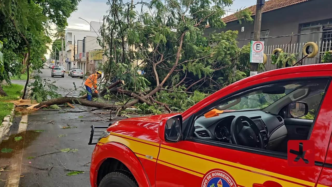 Ventos fortes e chuva intensa danificaram rodoviária, semáforo e postes na cidade