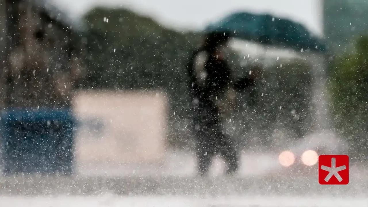 Período chuvoso com aumento de temperatura é certeiro para proliferação de doenças