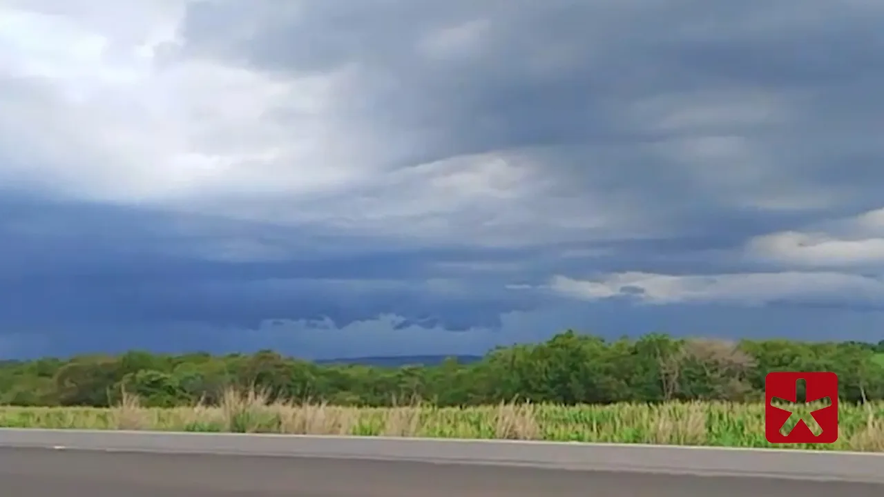 Aviso é válido para esta terça-feira (31) e aponta possibilidade de alagamentos, quedas de árvores e interrupções no fornecimento de energia elétrica.