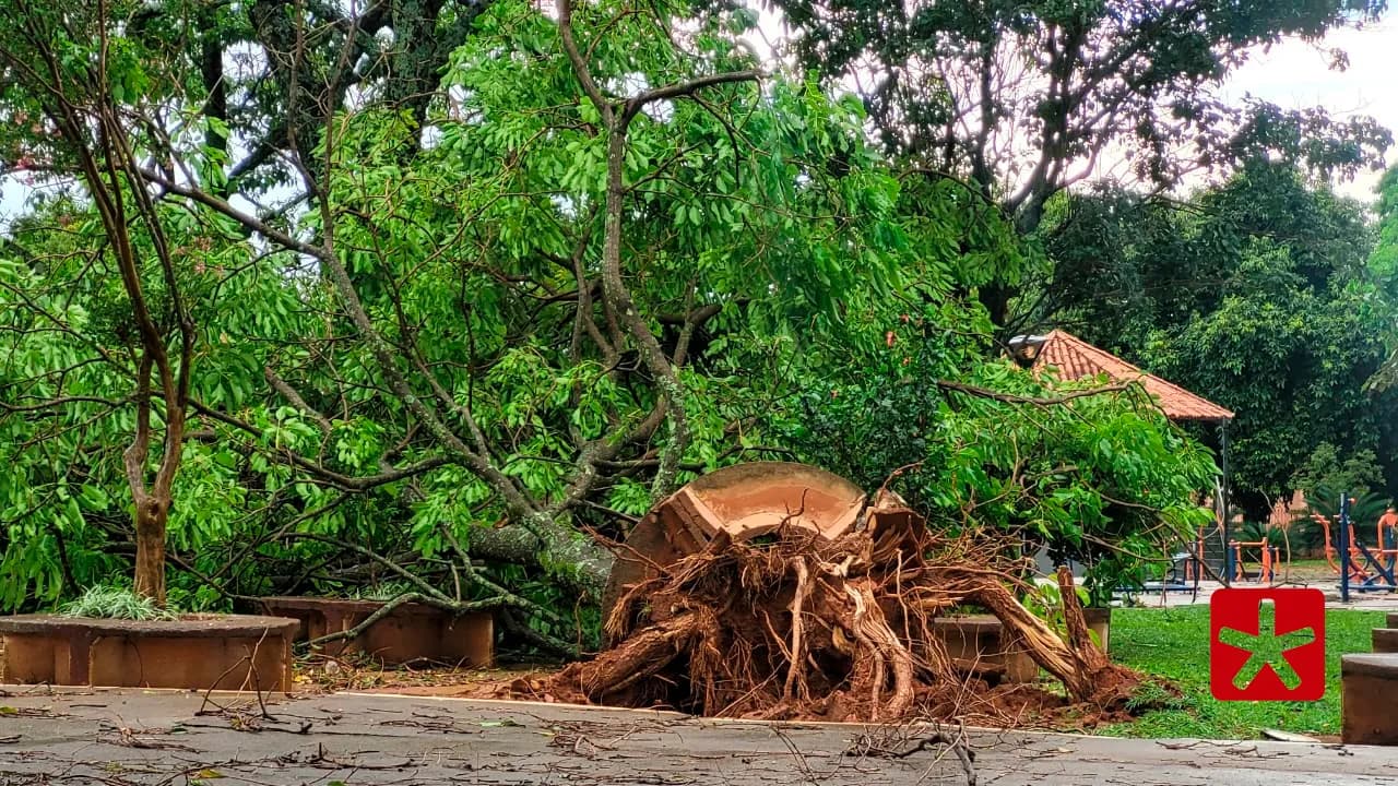 Previsão é de pancadas de chuva durante a virada de ano com ventos de até 6 km/h