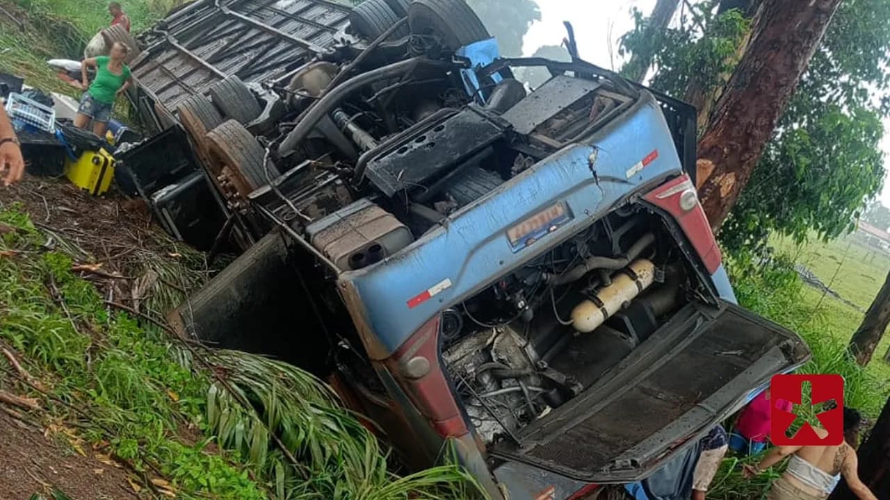 Veículo, que transportava cerca de 50 passageiros, colidiu contra árvore e capotou