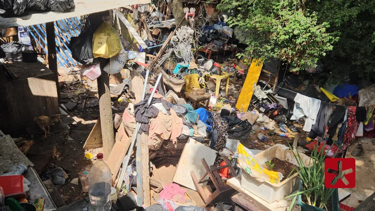 Ação no bairro Nossa Senhora Aparecida conta com apoio da Polícia Militar e envolve resgate de animais e acompanhamento social do casal morador