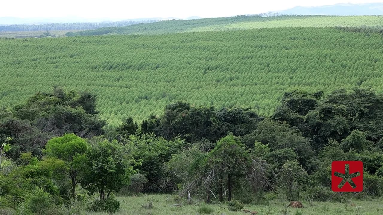 Foto por Alexandre Amaral: Emater-MG
