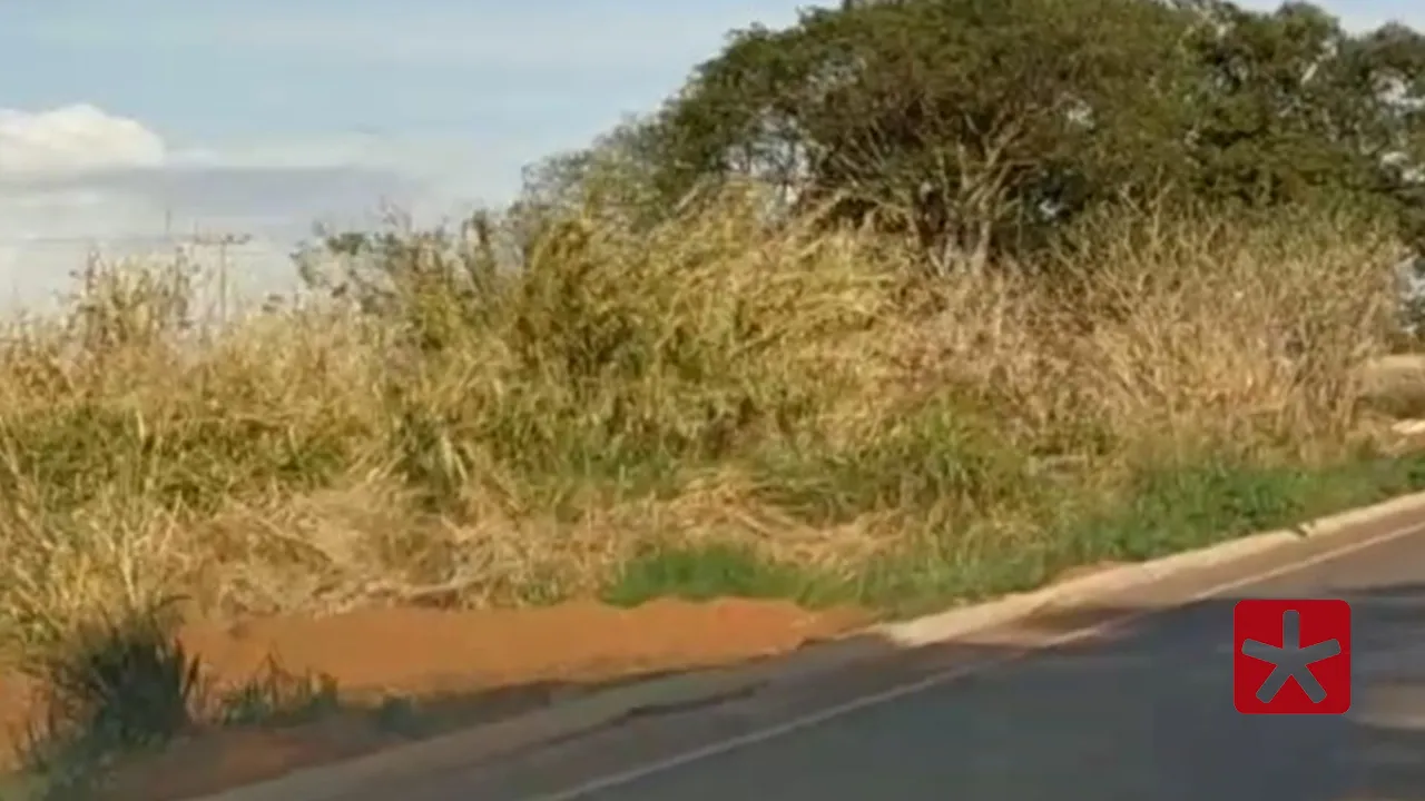 Moradores denunciam condições precárias da LMG-743 entre Patos de Minas e Carmo do Paranaíba