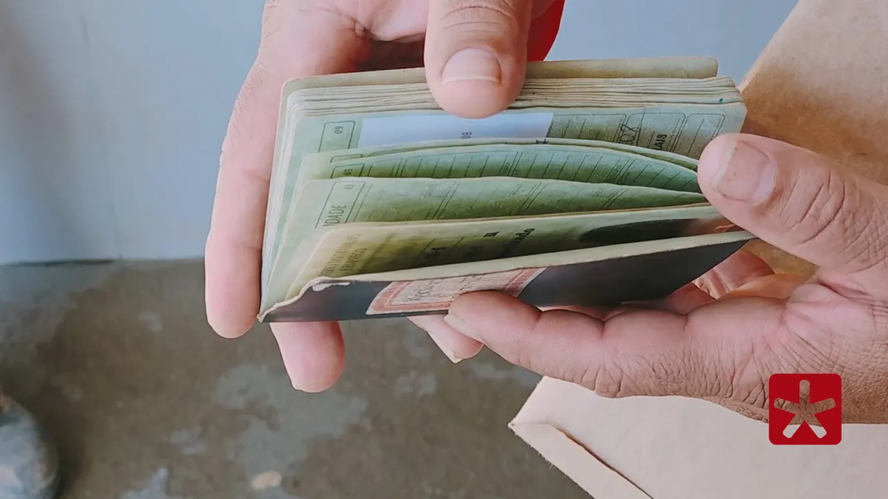 Dezenove estados e DF têm em 2025 o menor desemprego já registradoDezenove estados e DF têm em 2025 o menor desemprego já registrado