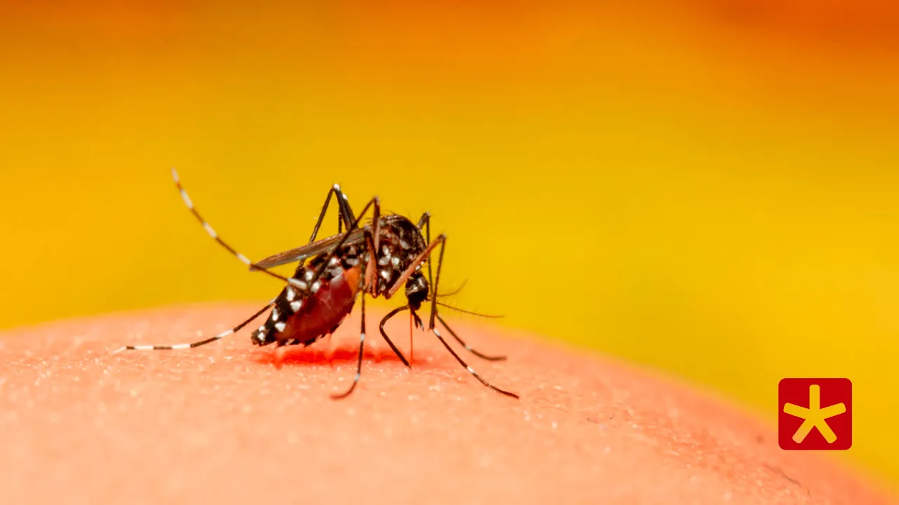 No próximo sábado (28), o município realizará o Dia D de mobilização contra o vírus 