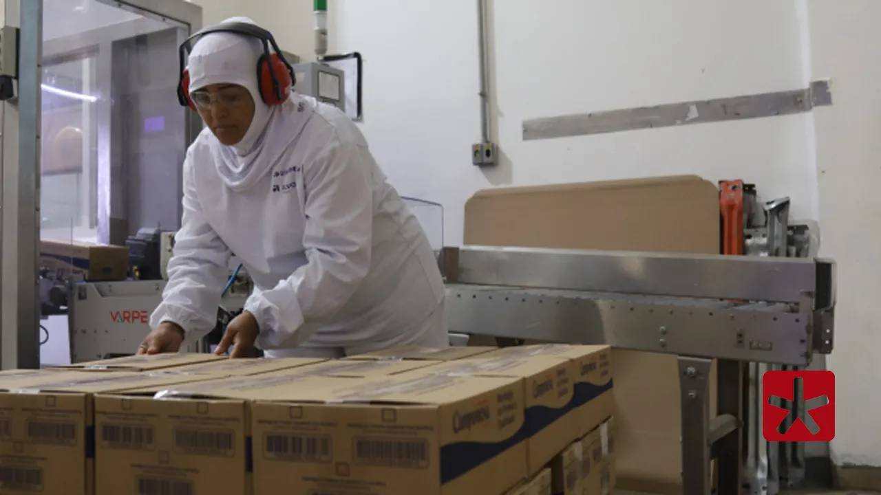 Setor de serviços concentrou maior parte das empresas abertas, com 17.171 formalizações