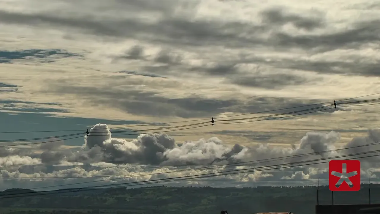Fique atento aos níveis da água em ruas, córregos e rios; saiba como se proteger 